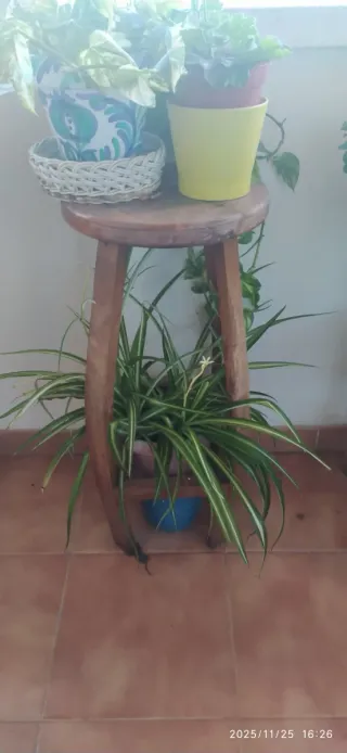 Set di 4 sgabelli in legno artigianali rustici