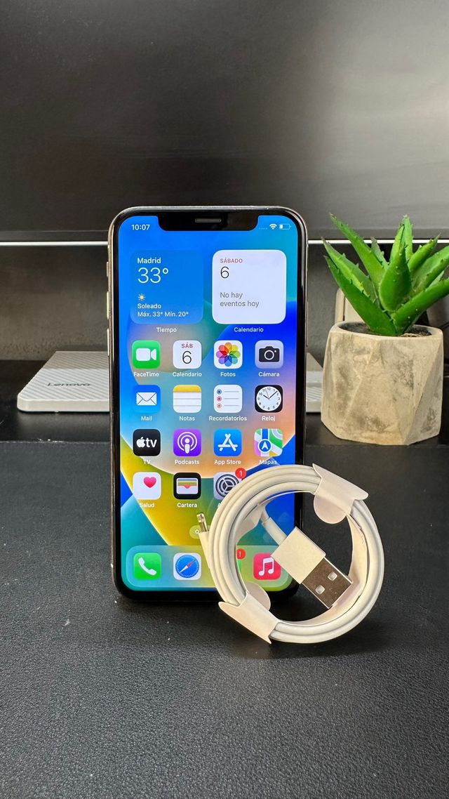 iPhone X 256 100% Salud de batería