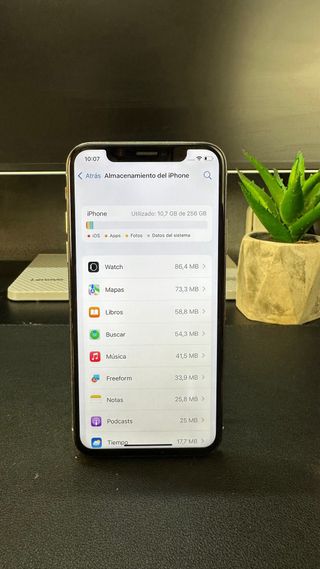 iPhone X 256GB 100% batteria
