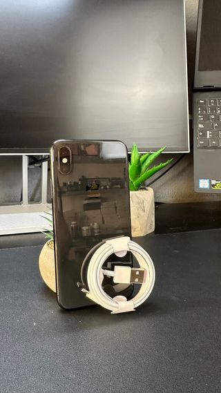 iPhone X 100% Salute Batteria