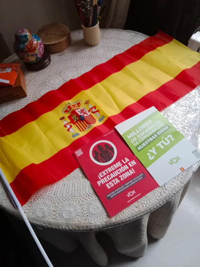 Bandiera di Vox per meeting e propaganda