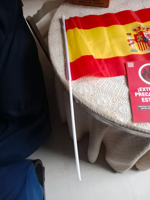 Bandiera di Vox per meeting e propaganda