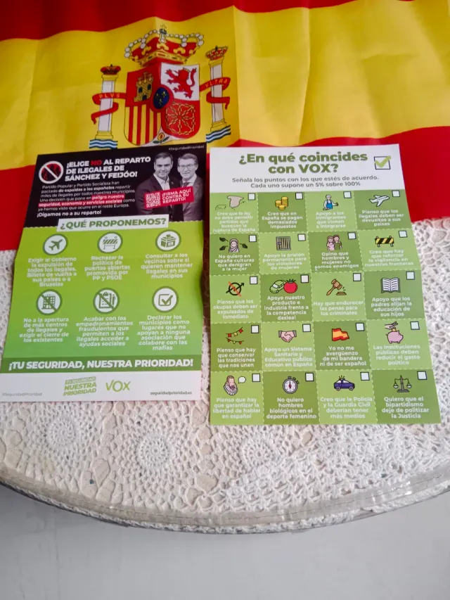 Bandiera di Vox per meeting e propaganda