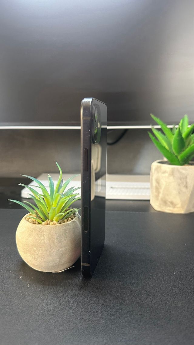 iPhone 12 100% Batería