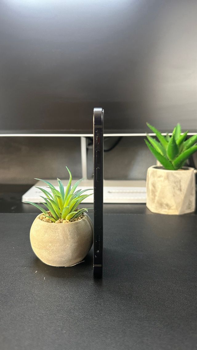 iPhone 12 100% Batería