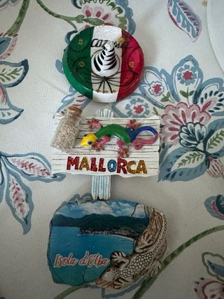 Calamite da collezione souvenir