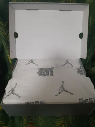 Jordan 4 Undefeated(44)