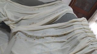 Cortinas beige con bordado dorado