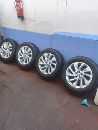 Llantas Renault 18 255/60R18