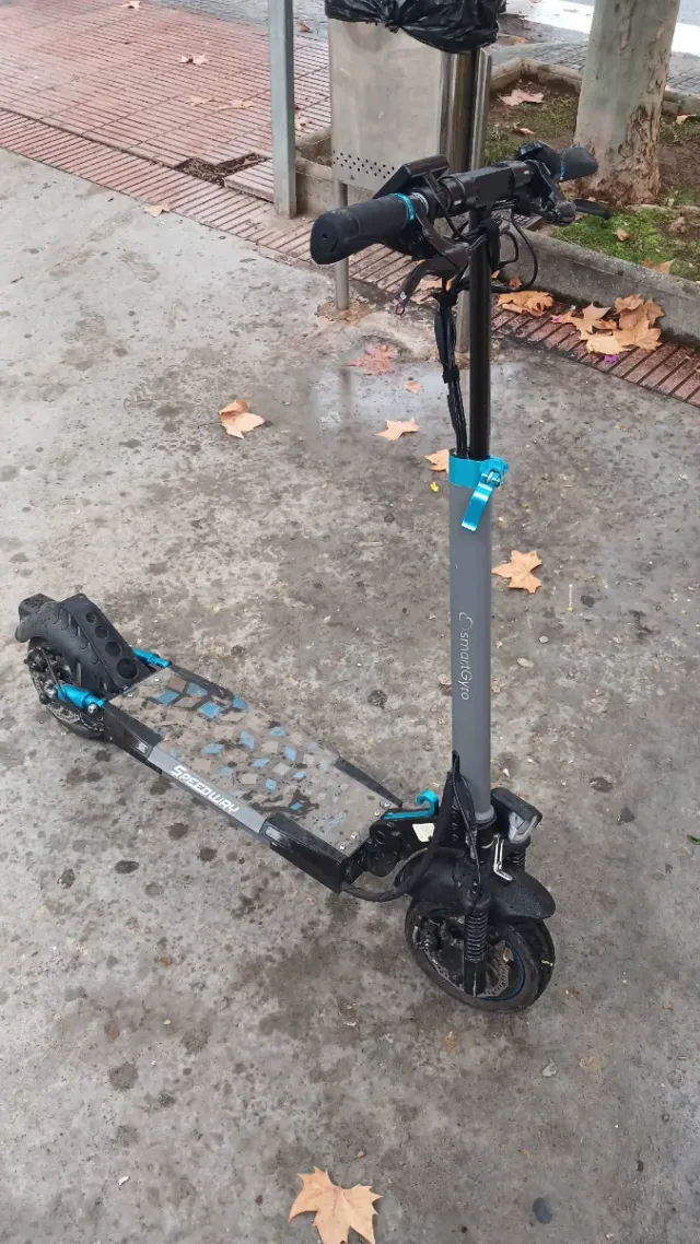 Patinete Eléctrico SmartGyro Speedway