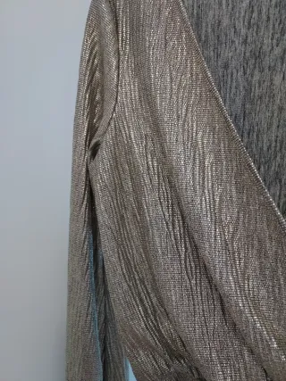 Blusa plateada fiesta