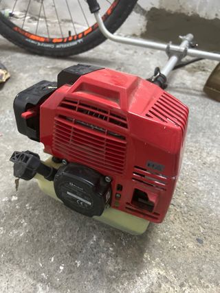 Tagliasiepi einchell