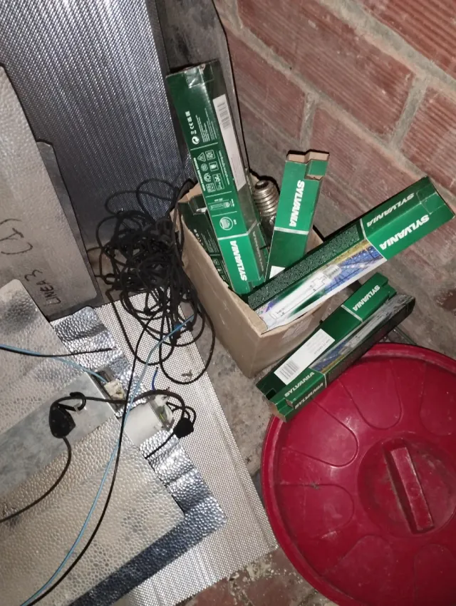 Bombilla Sylvania Tubo Fluorescente