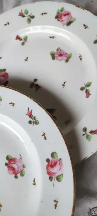 2 Piatti Derby 1805/10 Rose