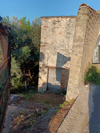 Rustico con ulivi centro paese