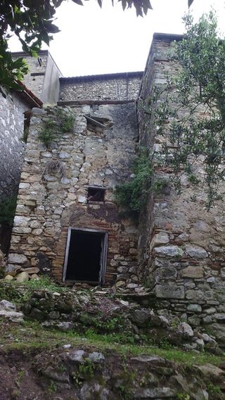 Rustico con ulivi centro paese