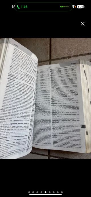 dizionario della lingua