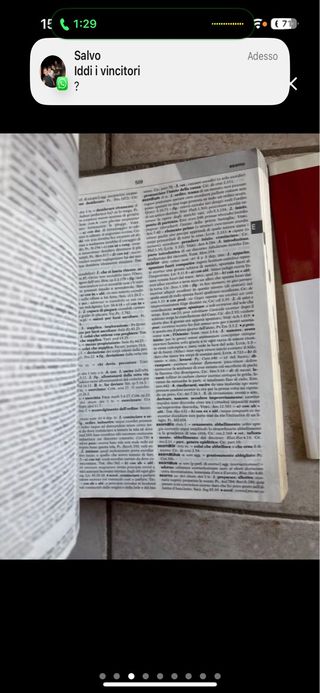 dizionario della lingua