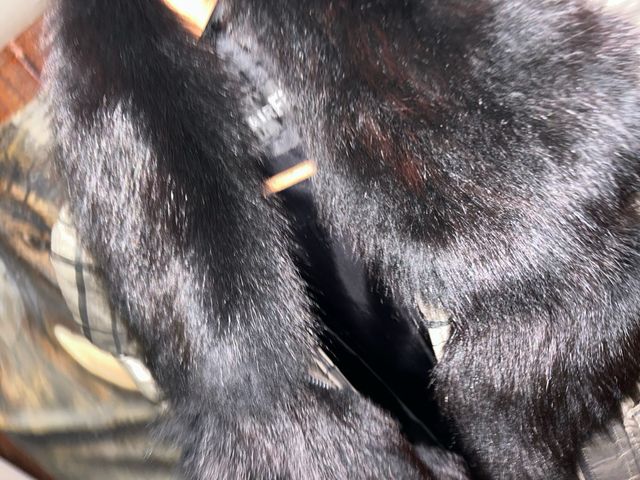 Giubbotto Airfield a quadri