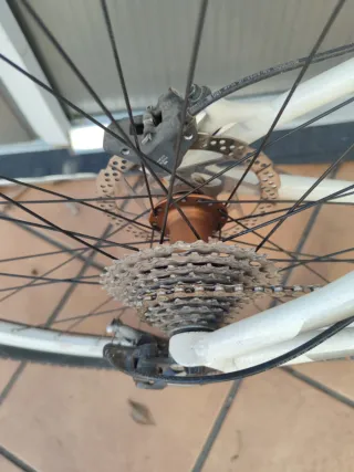 Megamo Natural 30 28"