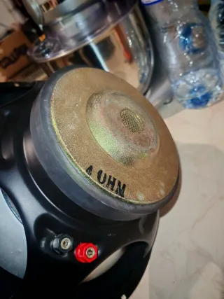 Subwoofer Thunder Phonocar 12 Nero/Argento