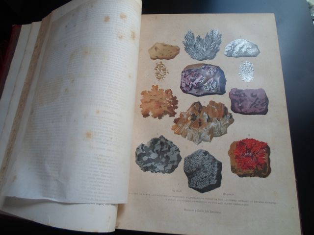 Libro Antiguo Mineralogía Geología Paleontología 1