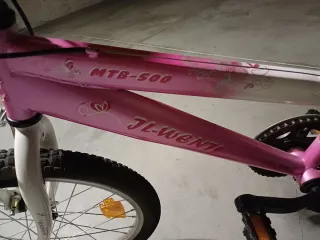 Bicicleta Infantil JL-WENTI MTB-500 Rosa
