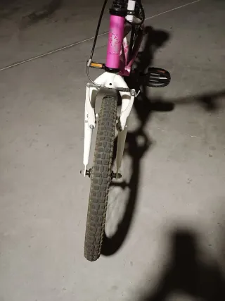 Bicicleta Infantil JL-WENTI MTB-500 Rosa