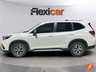 Subaru Forester 2.0i Hybrid CVT Executive Plus