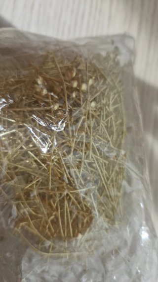 Scatola con accessori per bigiotteria