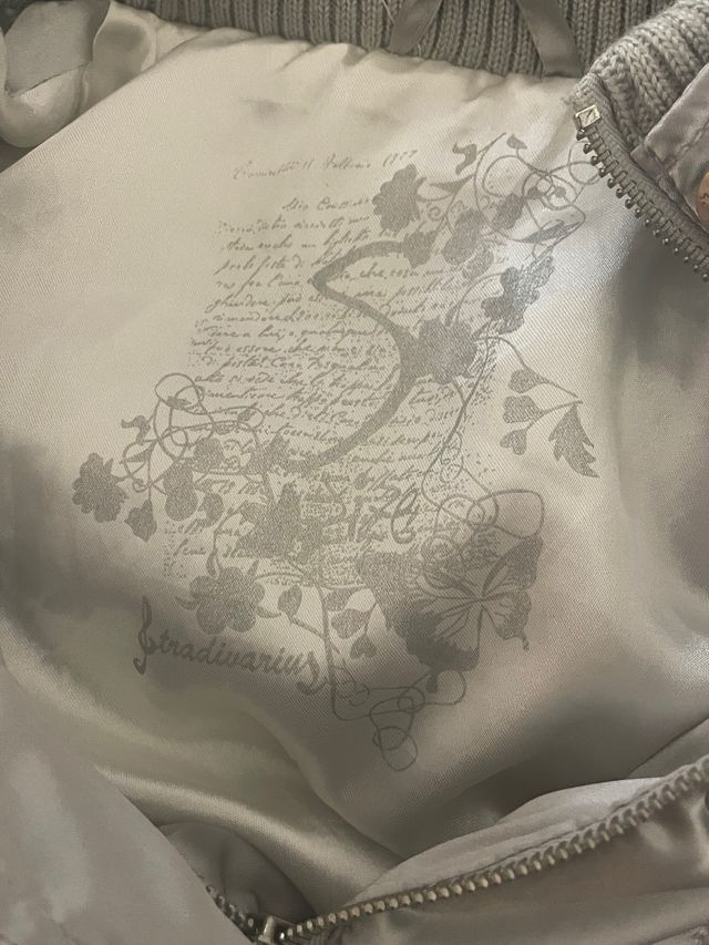 Abrigo plateado Y2K con capucha y pelo