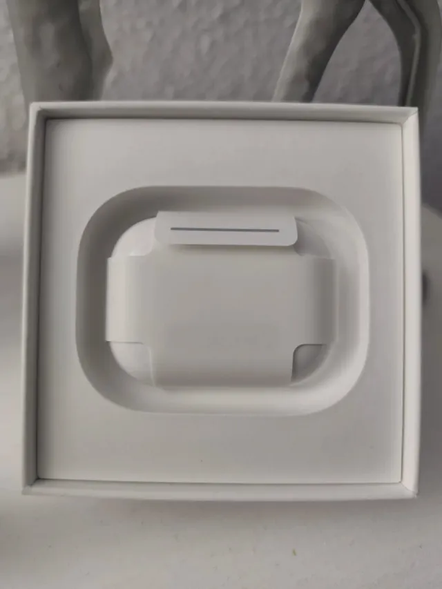 Airpods Pro 2 - Perfetto