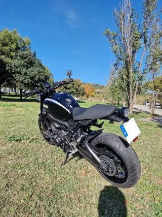 Yamaha XSR900