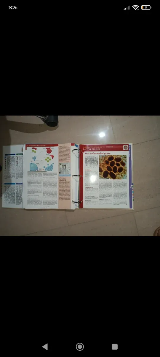 Colección El Cuerpo Humano Planeta D'Agostini