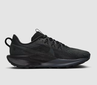 Nike Pegasus Trail 5 Negro