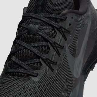 Nike Pegasus Trail 5 Negro
