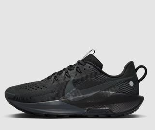Nike Pegasus Trail 5 Negro
