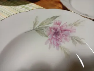 Set piatti antichi floreali