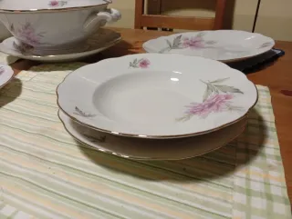 Set piatti antichi floreali