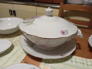 Set piatti antichi floreali