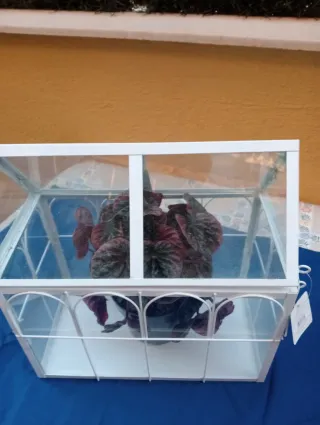 Mini invernadero blanco vidrio y metal