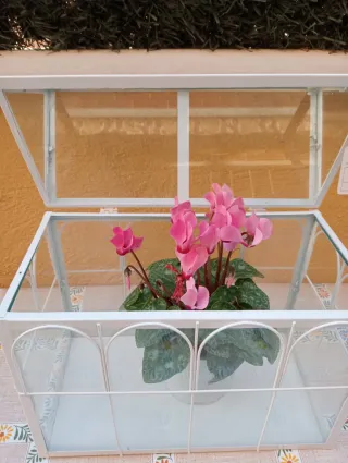 Mini invernadero blanco vidrio y metal