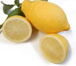 Limone Lunario
