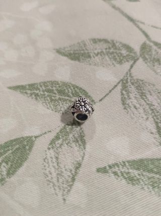 Charm plata Margarita