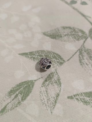 Charm plata Margarita