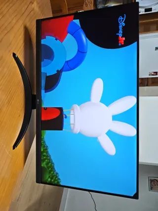 Monitor TV LG 27 pollici Full HD