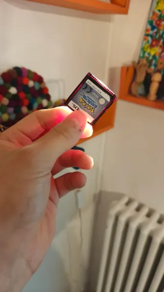 Pokémon Heartgold & Soulsilver Nintendo DS