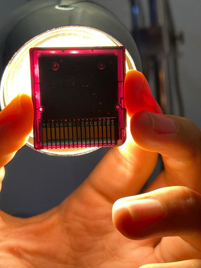 Pokemon Versione Nera Nintendo DS Originale