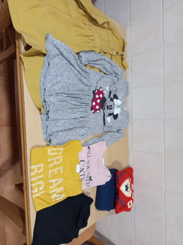 Lote Ropa Niña Talla 8