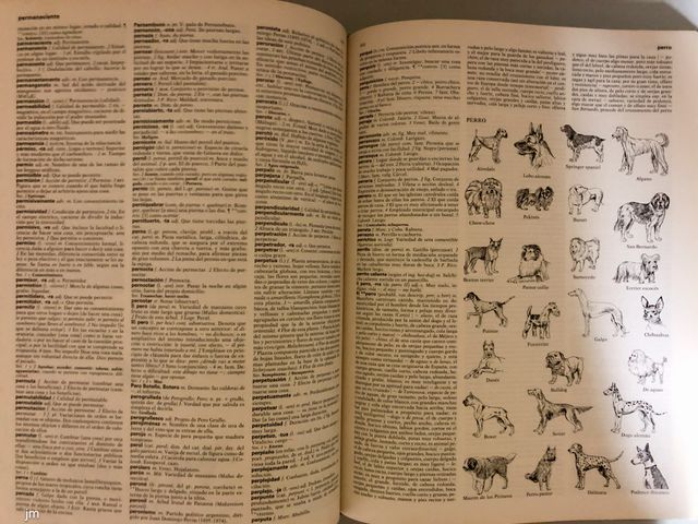 Dizionario Generale Illustrato VOX